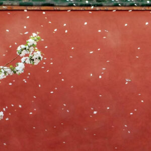 The Best Time to Visit the Forbidden City