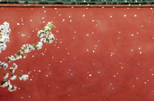 The Best Time to Visit the Forbidden City
