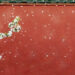 The Best Time to Visit the Forbidden City