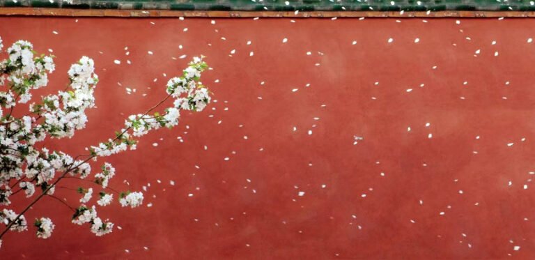 The Best Time to Visit the Forbidden City