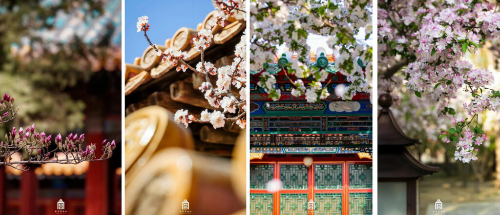 The Forbidden City in spring