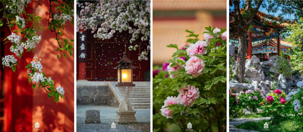 The Forbidden City in spring